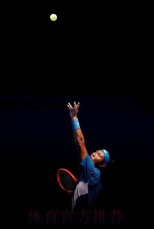 张之臻止步澳网首轮 张之臻止步澳网首轮